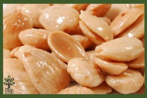 نهال بادام مارکونا