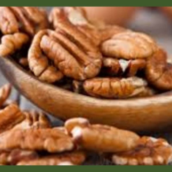 نهال گردو پیوندی لارا