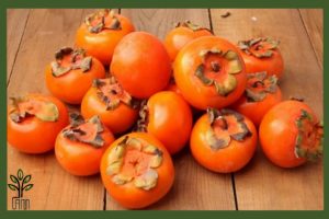 نهال خرمالو سیبی