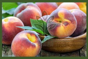 نهال هلو هسته جدا