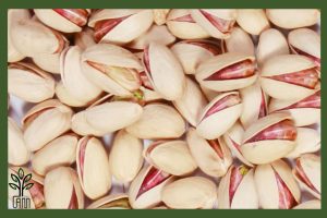 نهال پسته احمد آقایی