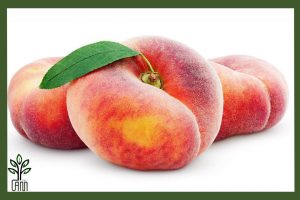 نهال هلو انجیری زودرس