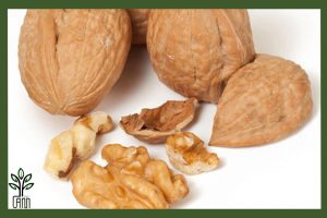 نهال گردو هارتلی جام نهال