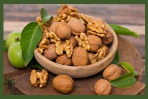 نهال گردو هارتلی جام نهال