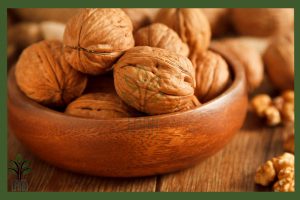 نهال گردو پاریزین جام نهال