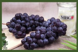 نهال انگور ترکمن 4 جام نهال