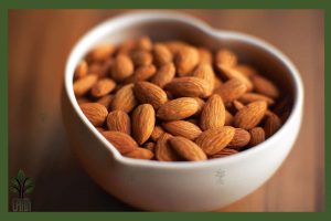 نهال بادام آذر جام نهال