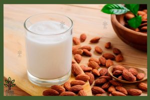 نهال بادام سهند جام نهال