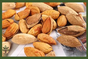 نهال بادام پوست کاغذی